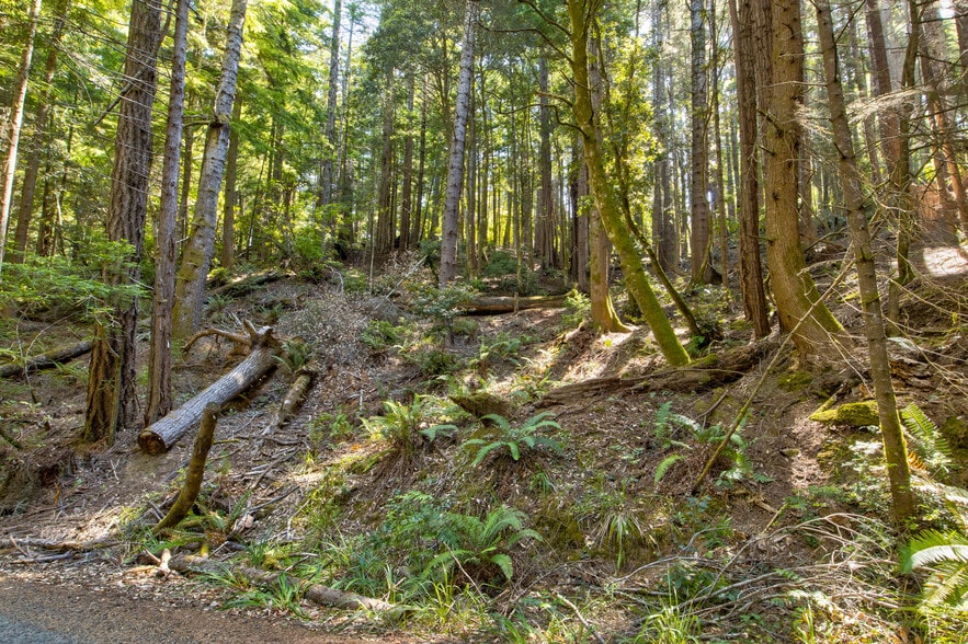 More Photos Of 33170 Frog Pond rd, Little River Land For Sale