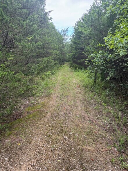 More Photos Of 3309 NC 421, Marble Falls Land For Sale