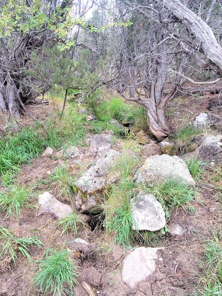 More Photos Of 50158 Eagles Way, Mesa Hospitality For Sale