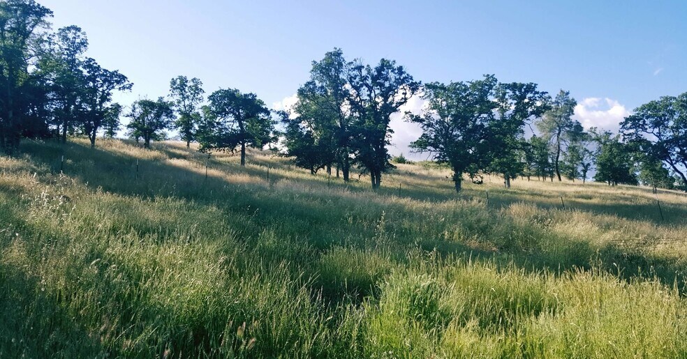 More Photos Of Campground Rd, Stonyford Land For Lease