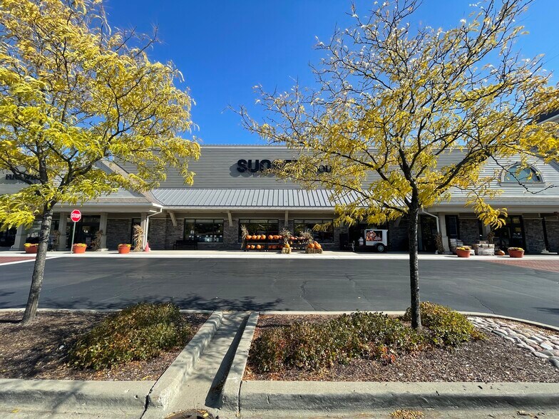 More Photos Of SEC Rte 83 & Aptakisic Rd, Long Grove Unknown For Lease