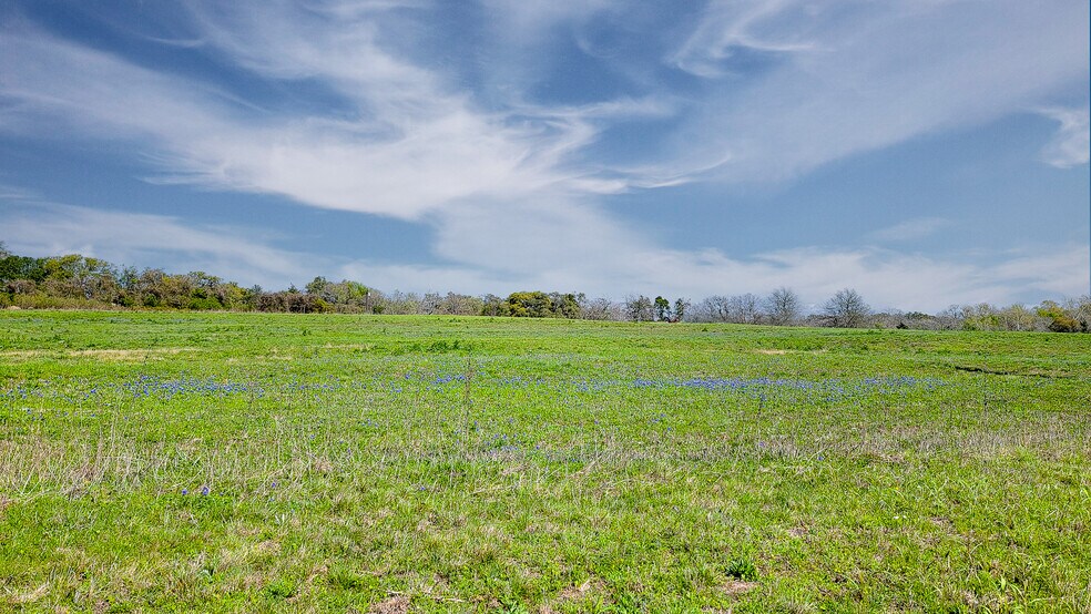More Photos Of 655 Farmers Rd, Brenham Loft Creative Space For Sale
