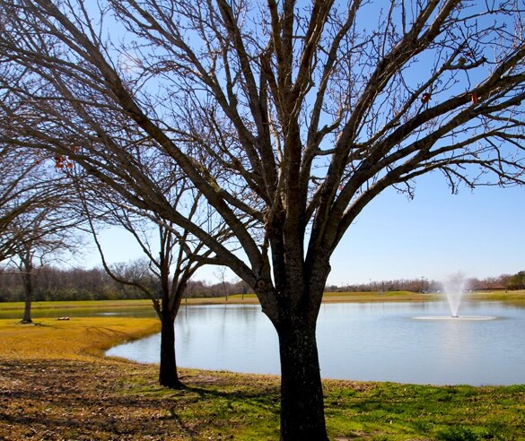 More Photos Of 4005 Technology Dr, Angleton Office For Lease