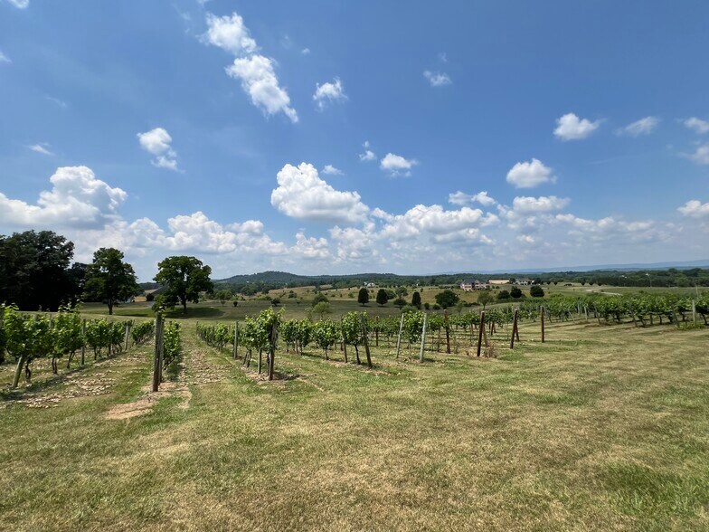 More Photos Of 2110 Quicksburg Rd, Quicksburg Land For Sale