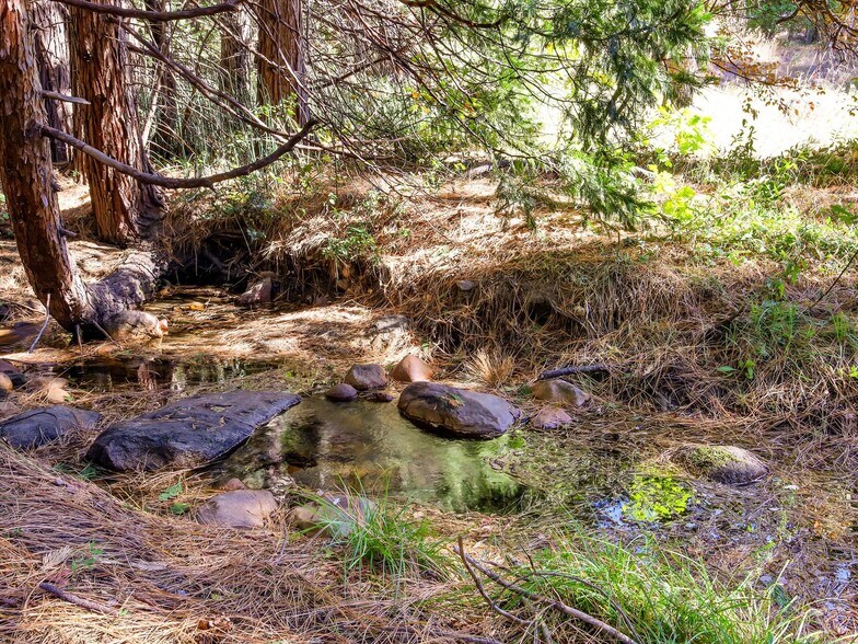More Photos Of 13651 US Hwy 50, Kyburz Land For Sale