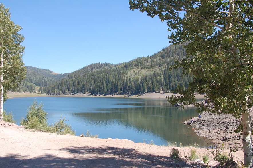 Primary Photo Of Lake Beaver E, Beaver Land For Sale