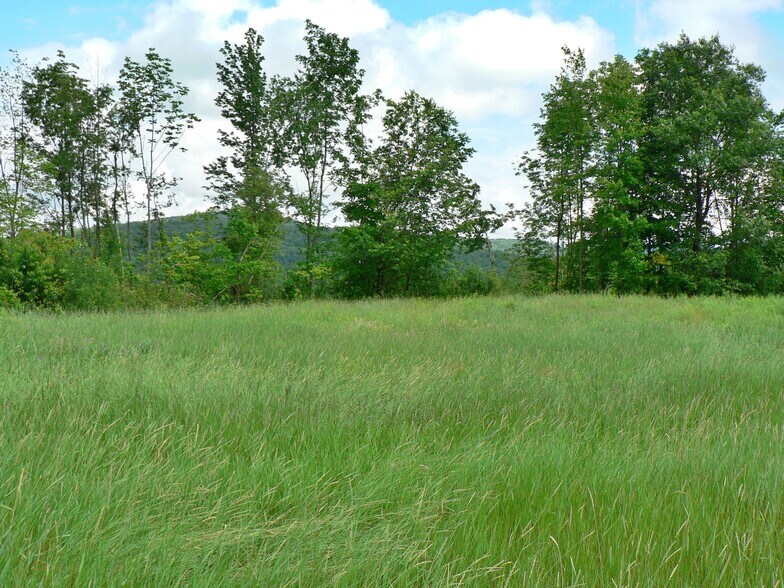 More Photos Of Mt Vernon St, Newport City Land For Sale