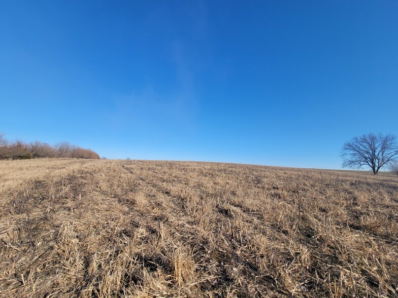 More Photos Of 171 Windy Hill Rd. (20+/- Acres), Elsberry Land For Sale