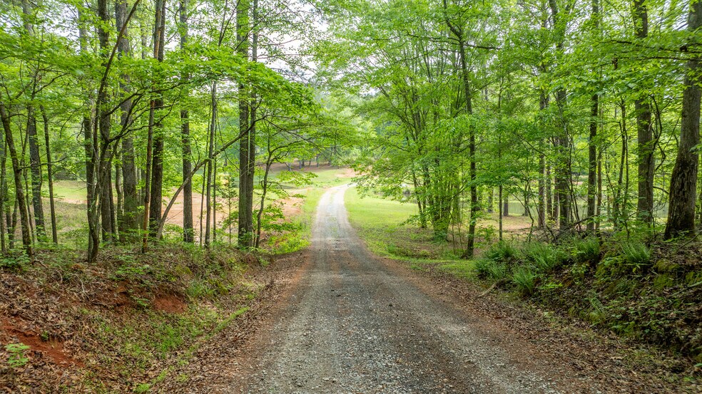 More Photos Of 485 Polk Rd, Moreland Land For Sale