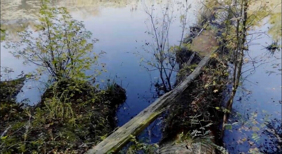 More Photos Of 3382 Silver Bluff Rd, Aiken Land For Sale