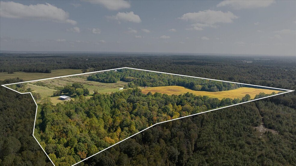 More Photos Of 667 Hustle Rd, Hustle Winery Vineyard For Sale