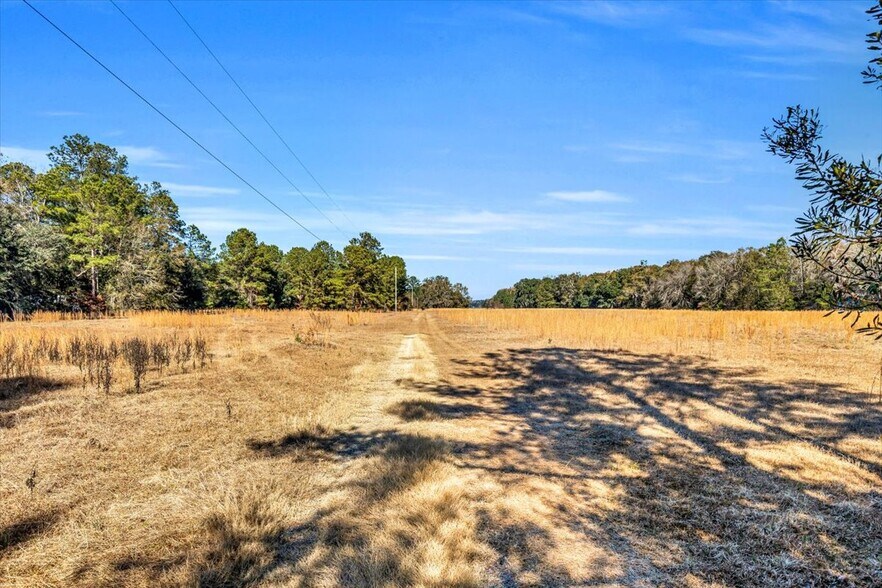 More Photos Of 580 Old Gress Island Rd, Midway Land For Sale