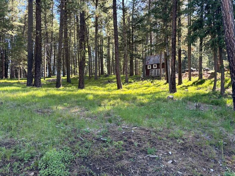 More Photos Of 305 N 3rd St, Mccall Freestanding For Sale