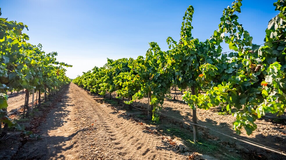 More Photos Of TFC Ranch, Lodi Land For Sale