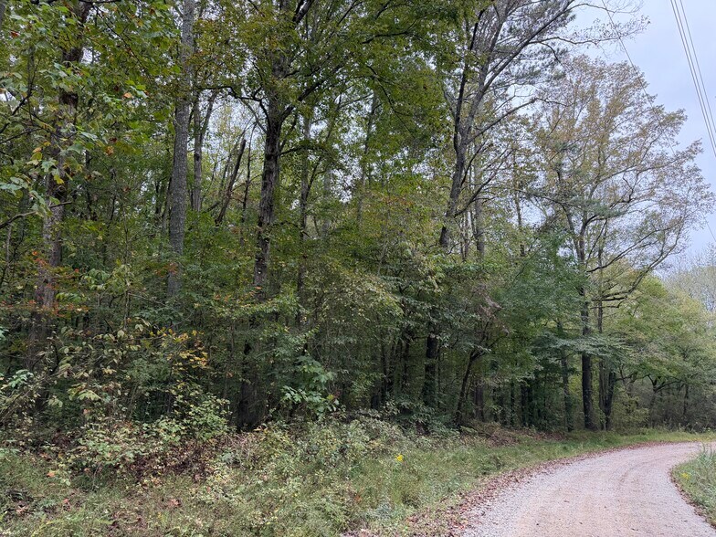 More Photos Of 0 County Road 60, Heflin Land For Sale