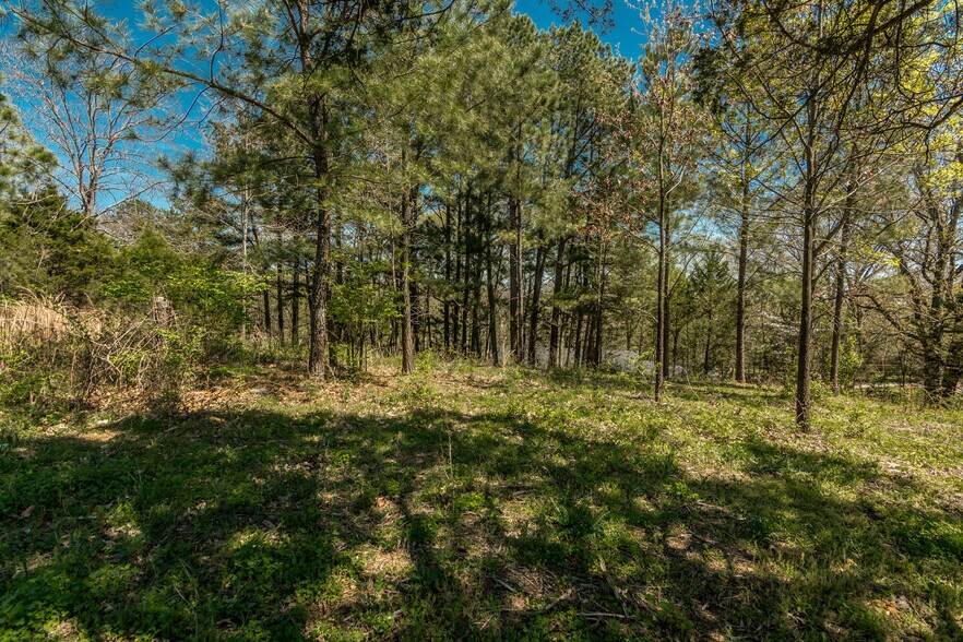 More Photos Of 2590 Couchville Pike, Nashville Land For Sale