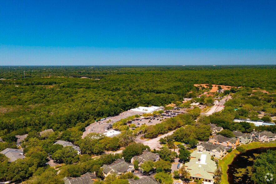 More Photos Of 15305 Amberly Dr, Tampa Unknown For Lease