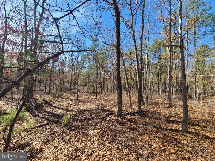 More Photos Of Zion Rd @ somers point, Egg Harbor Township Land For Sale