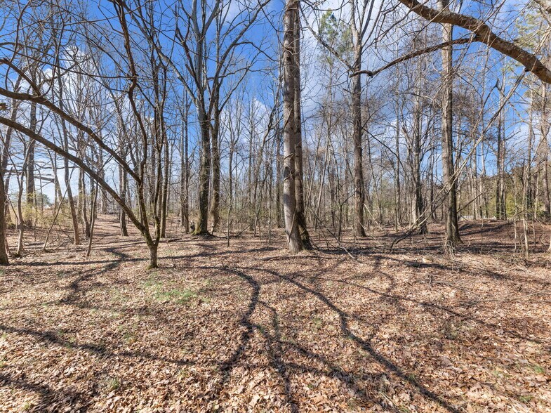 More Photos Of 5555 McEver Rd, Flowery Branch Land For Sale