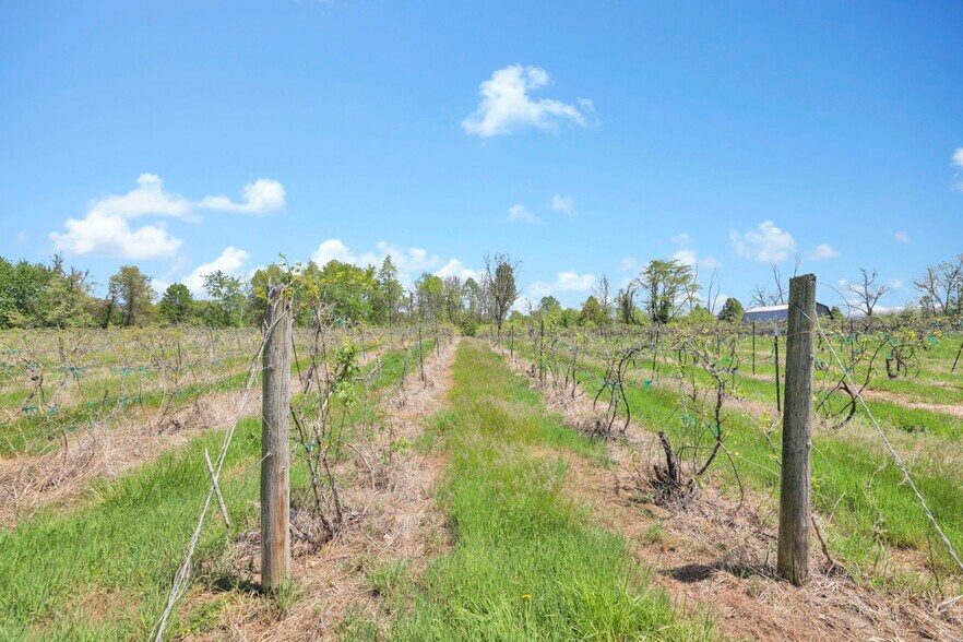 More Photos Of 1900 Winchester Southern Rd, Canal Winchester Winery Vineyard For Sale