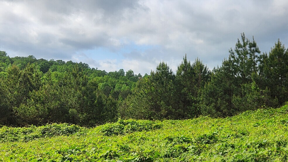 More Photos Of Near 5370 Deerfoot Parkway Pky, Trussville Land For Sale