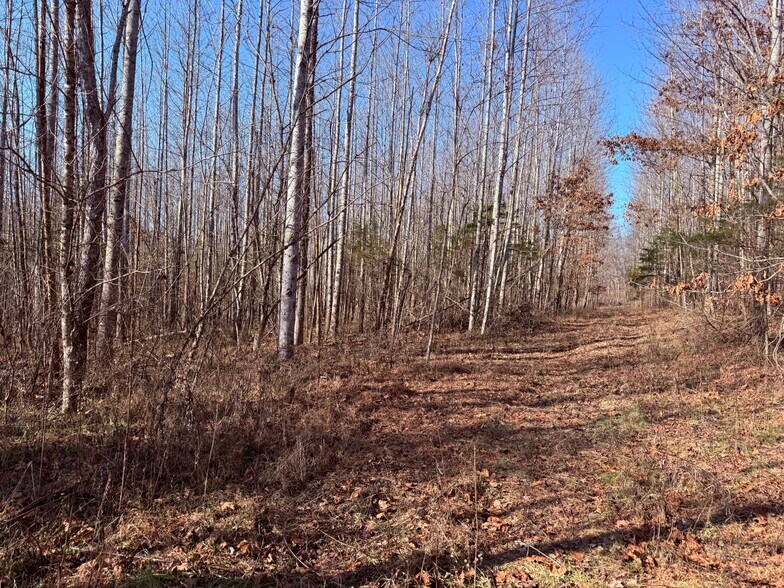 More Photos Of 4604 Summersville Rd, Campbellsville Land For Sale