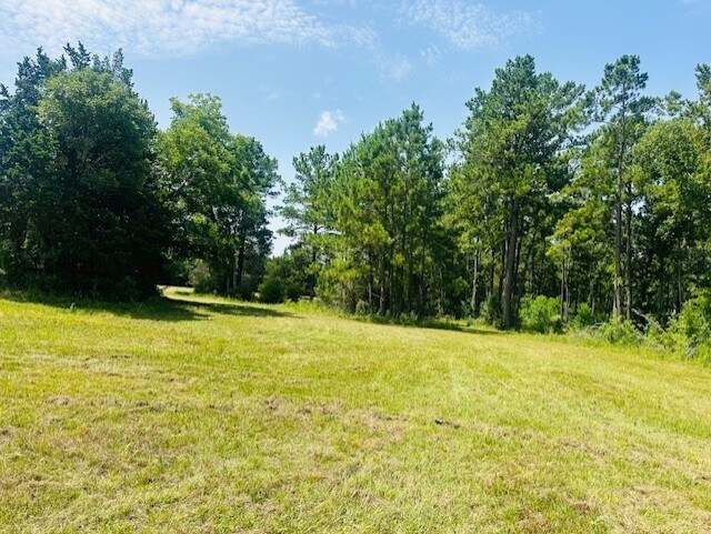 More Photos Of 16963 Interstate 45 N, Willis Land For Sale
