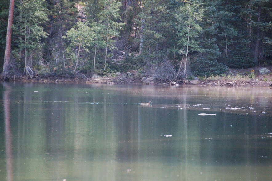 More Photos Of Lake Beaver E, Beaver Land For Sale