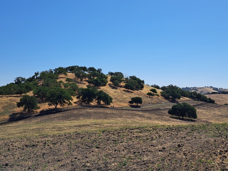 More Photos Of 993 Moss Ln, Templeton Land For Sale