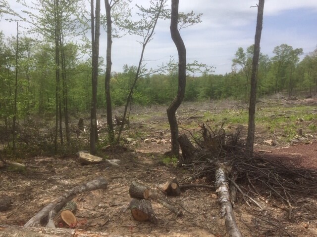 More Photos Of 20 Old Birch Rd, Union Land For Sale