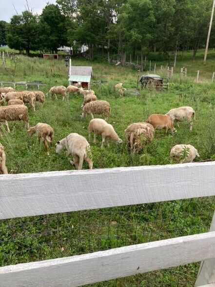 More Photos Of 65 Juliet Dr, Warwick Land For Sale