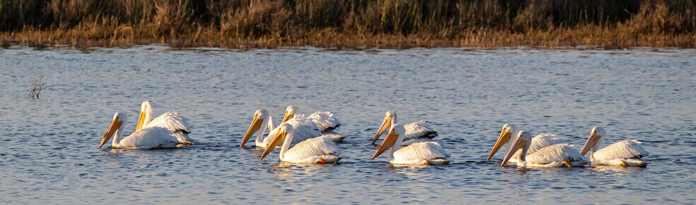 More Photos Of 954 S Main St, La Feria Land For Sale