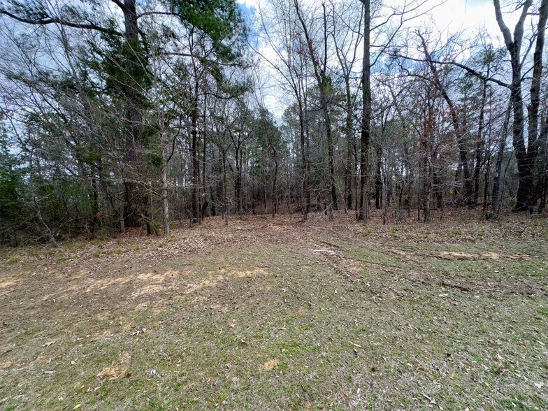 More Photos Of 3363 FM 349, Kilgore Land For Sale