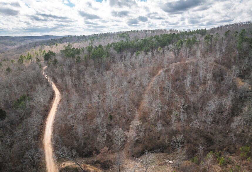 More Photos Of 3385 County Road 5615, Bunker Land For Sale