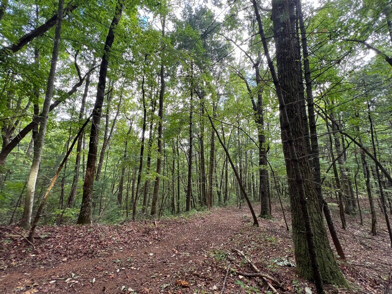 More Photos Of Whitecliff Drive, Ellijay Land For Sale