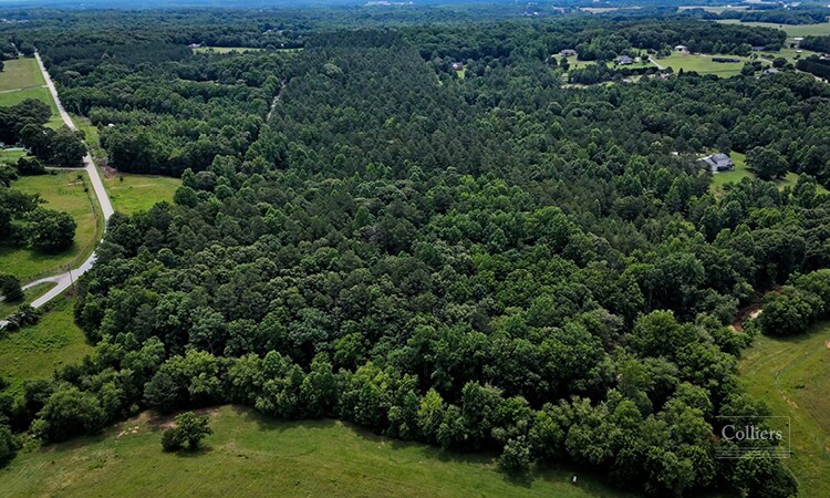 More Photos Of Martin Road, Williamston Land For Sale