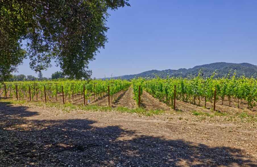 More Photos Of 6160 St Helena hwy, Napa Land For Sale