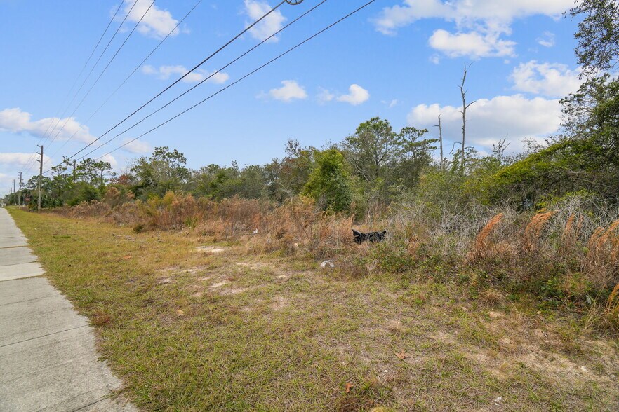 More Photos Of 0 Sunshine Grove Rd, Brooksville Land For Sale