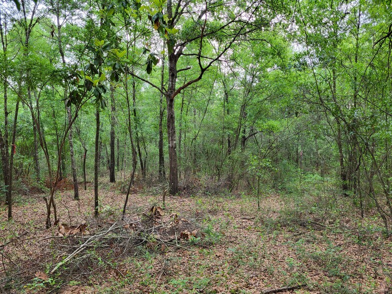 More Photos Of 301 E Redstone Ave, Crestview Land For Sale