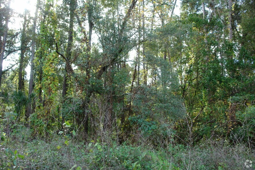 More Photos Of W Main St, Lake Helen Land For Sale