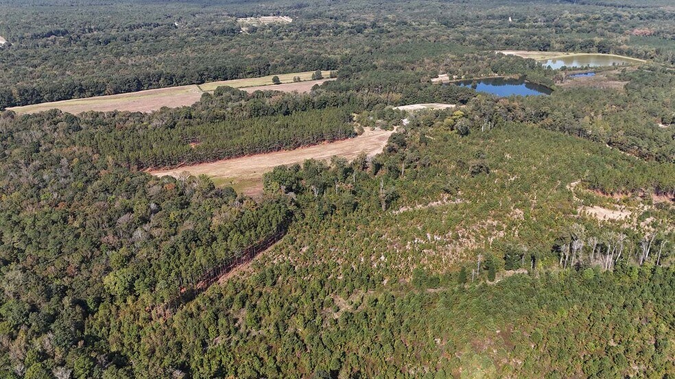 More Photos Of 7408 Matt Hair Rd, Fayetteville Land For Sale