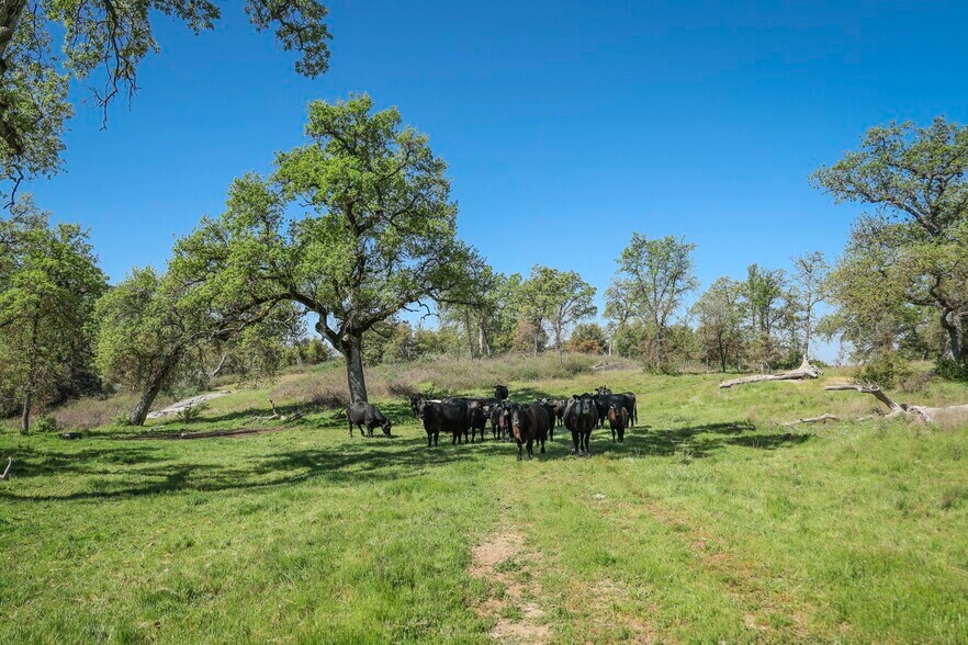 More Photos Of Dry Creek Drive, Badger Land For Sale