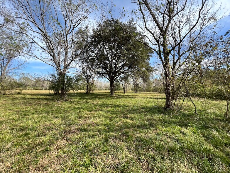 More Photos Of 0 Hwy 35, Van Vleck Land For Sale