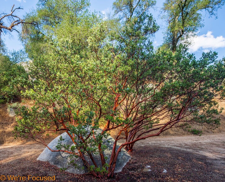Primary Photo Of Cryer, Banning Land For Sale
