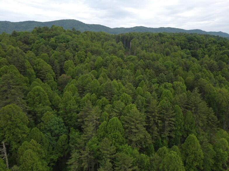 More Photos Of 6421 Highway 91 N, Laurel Bloomery Warehouse For Lease