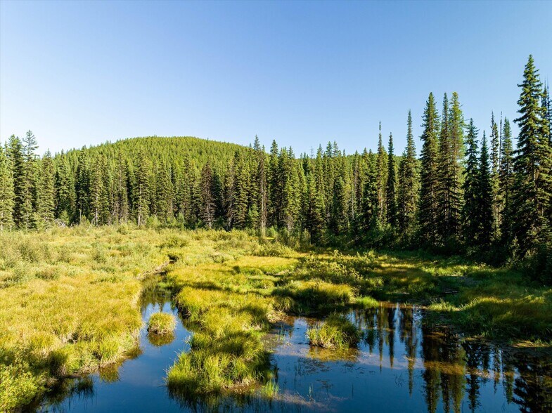 More Photos Of Nhn Logan Creek Road, Kila Land For Sale