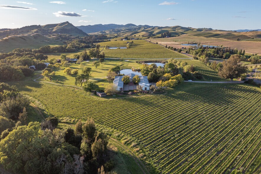 More Photos Of 1129 Dealy Ln, Napa Winery Vineyard For Sale