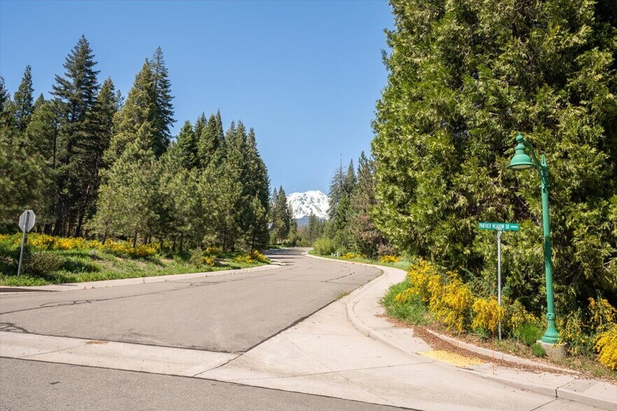More Photos Of 200 Old Mill Dr, Mccloud Land For Sale