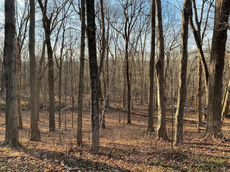 More Photos Of 0 Cottage Place, Granite Springs Land For Sale