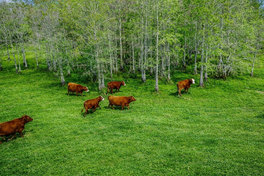 More Photos Of 4350 Bridge rd, Hobe Sound Land For Sale